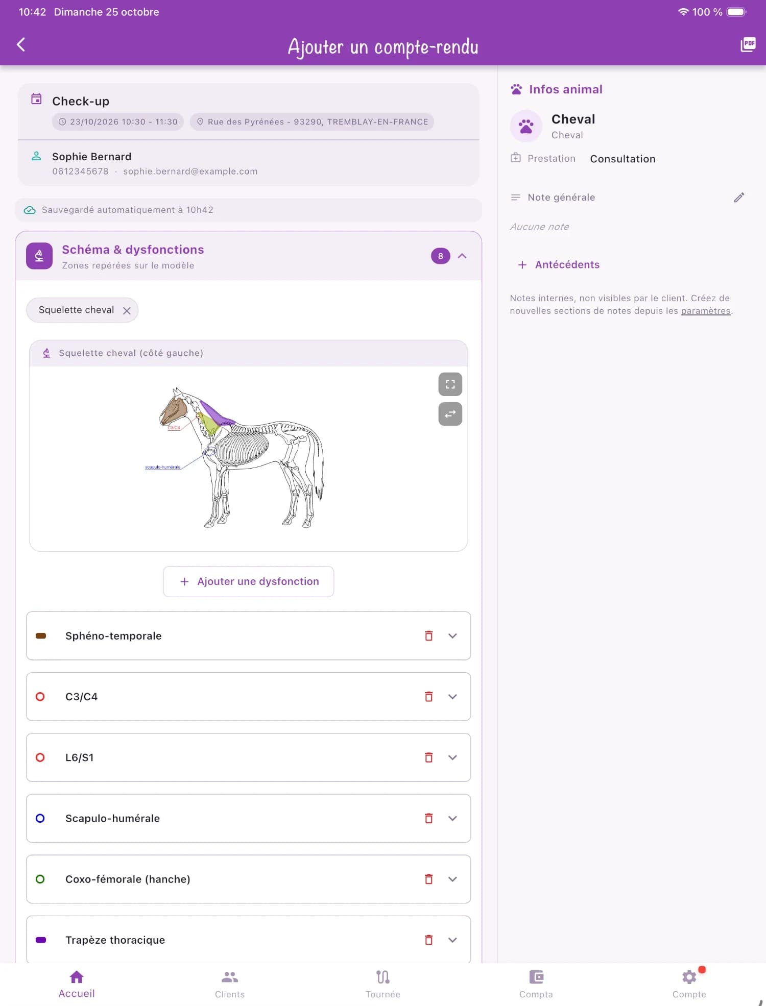 Compte rendu d'ostéopathie avec schéma du cheval sur iPad