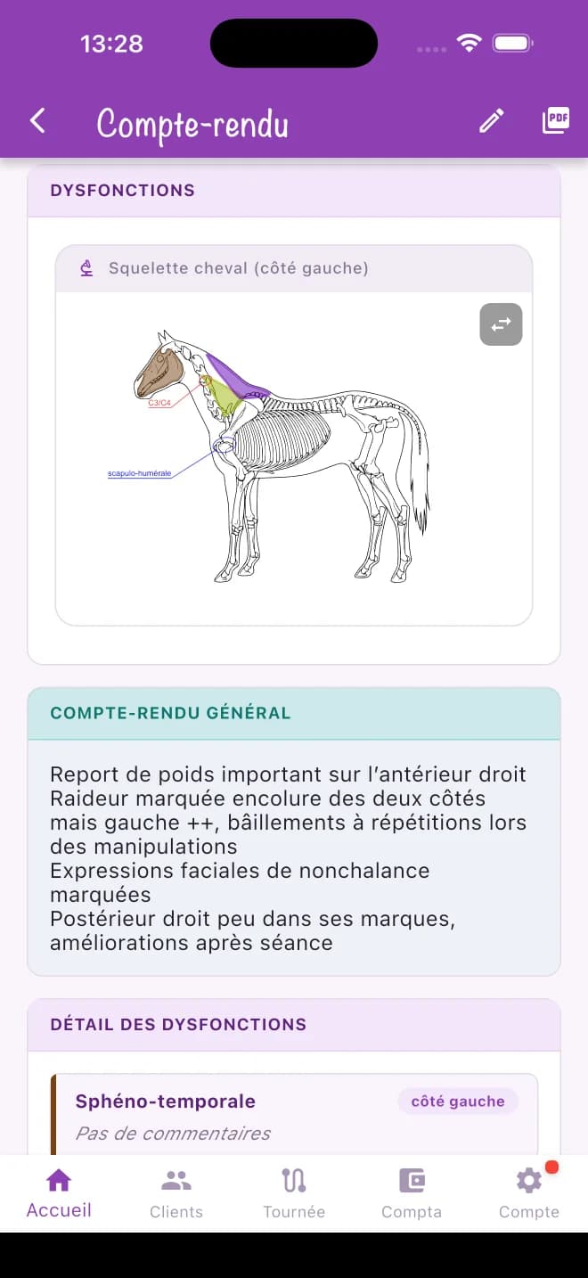 Compte rendu d'ostéopathie avec schéma du cheval sur smartphone